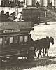 A horse-drawn tram near the Stock Exchange building. Photograph dated 1906
